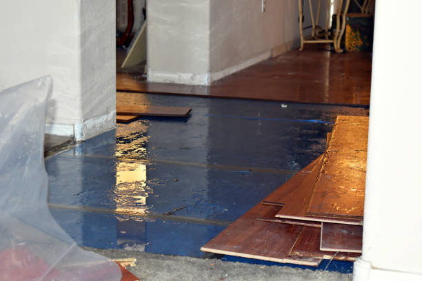 Professional Basement Flood Cleanup technician working in Riceville, TN
